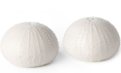Aerin Sea Urchin Salt and Pepper Shakers