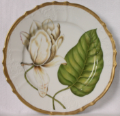 Magnolia